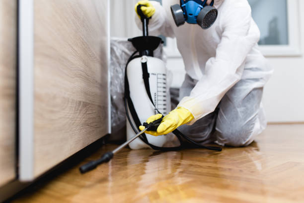 Best Local Pest Control Services  in Pasco, WA