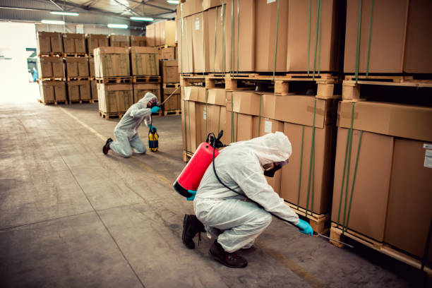 Best Pest Control Near Me  in Pasco, WA