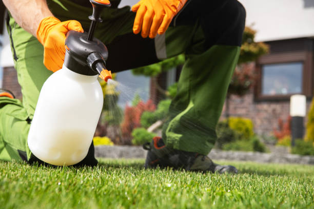 Best Affordable Pest Control Services  in Pasco, WA