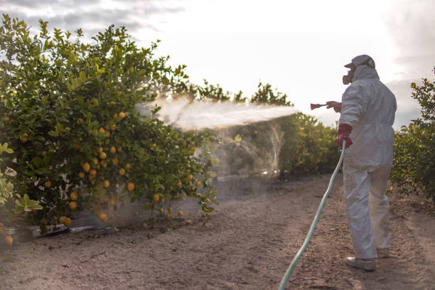 Best Bird Control  in Pasco, WA