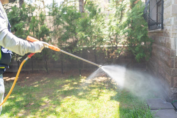 Best Bed Bug Extermination  in Pasco, WA