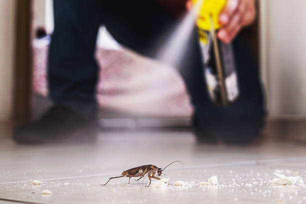 Reliable Pasco, WA Pest Control Solutions
